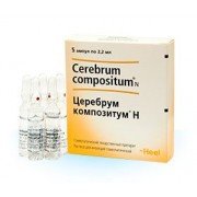 Церебрум композитум