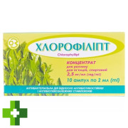 Хлорофіліпт