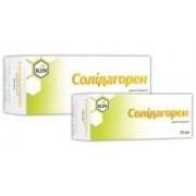 Солидагорен