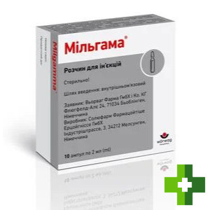 Мильгама