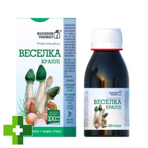 Гриб Веселка