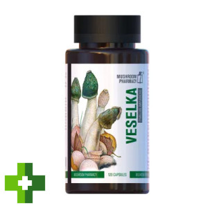 Гриб Радуга Mushroom Pharmacy Veselka