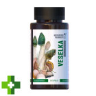 Гриб Радуга Mushroom Pharmacy Veselka