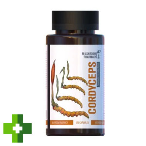 Гриб Кордіцепс Mushroom Pharmacy Cordyceps