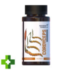 Гриб Кордіцепс Mushroom Pharmacy Cordyceps