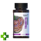 Гриб Трамета Mushroom Pharmacy Trameta