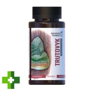 Гриб Трутовик Mushroom Pharmacy Trutovyk
