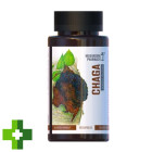 Гриб Чага Mushroom Pharmacy Chaga