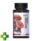 Гриб Шиитаке