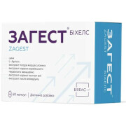 Загест