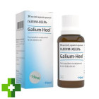 Галіум-хеель